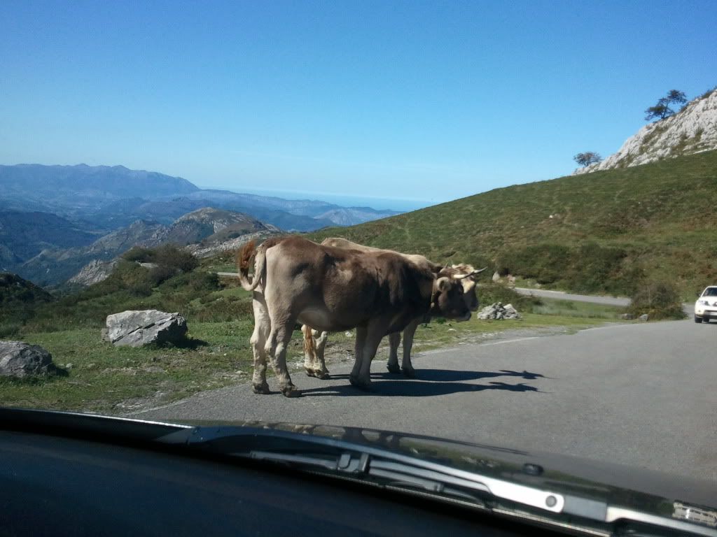 Vacaciones en Cantabria..fotos.. - Página 3 2011-09-20152543