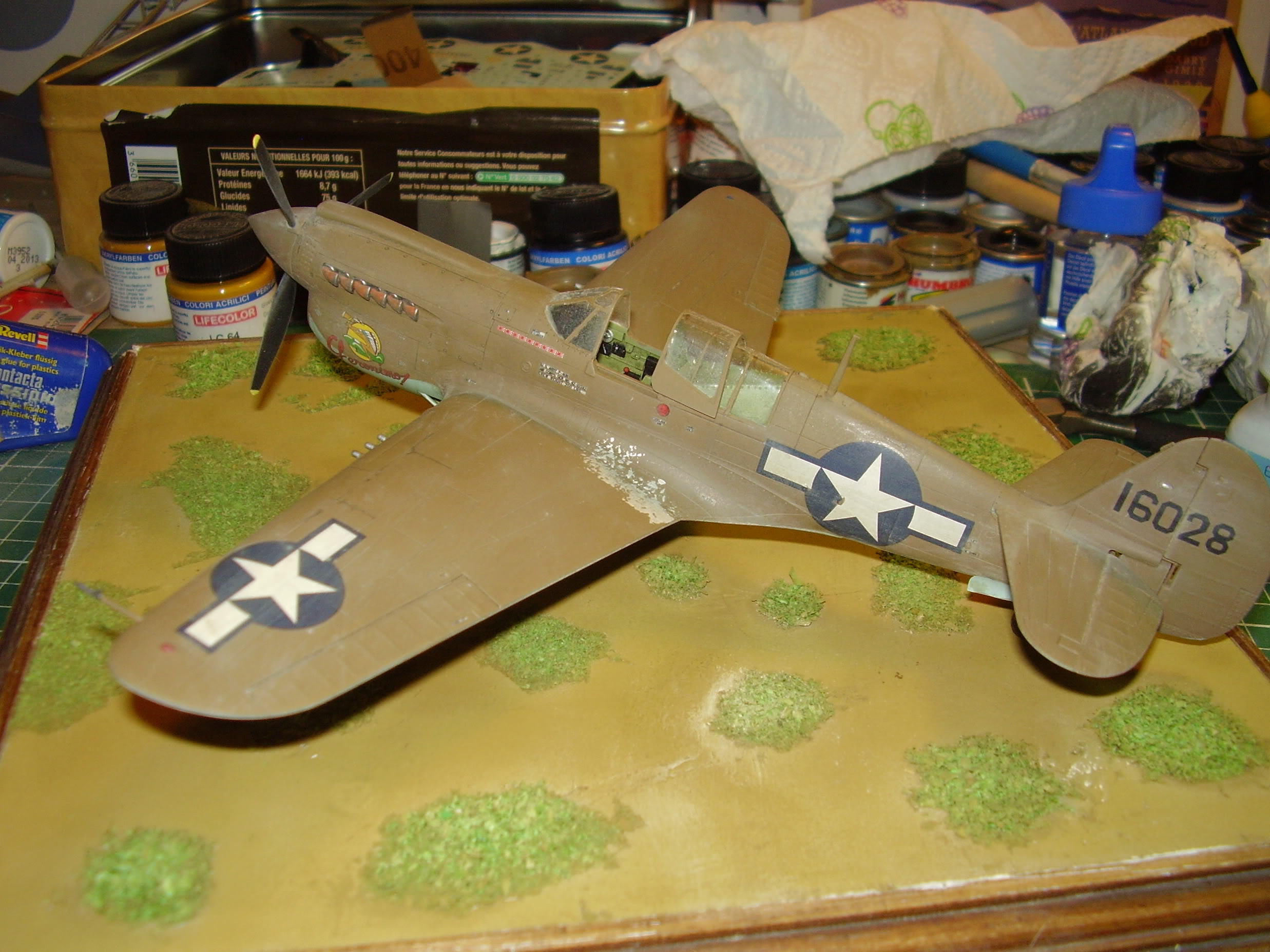 P-40N Warhawk Hasegawa 1/48 13