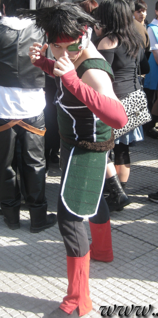 cosplay de los integrantes del foro XD Bardock