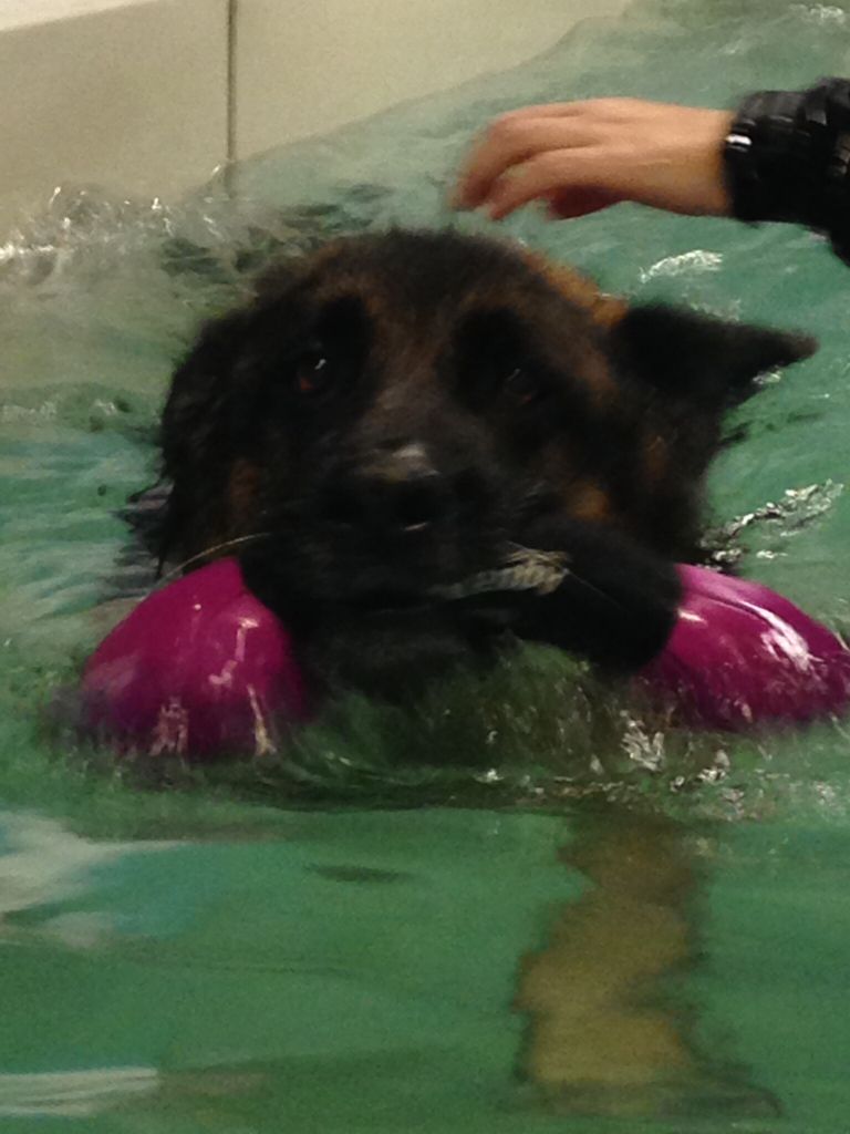 Fred at hydrotherapy 78cdcf60b2aebe98a0dc8ba93ec89075