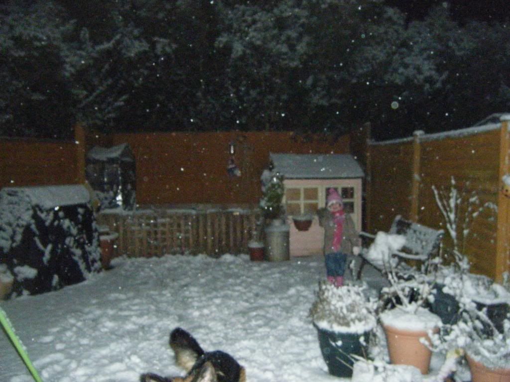 out in the snow tonight..... JANUARY010023