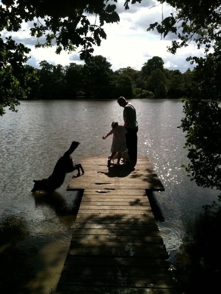 allestree park dog walkie piccies  Foremarkreservoir011