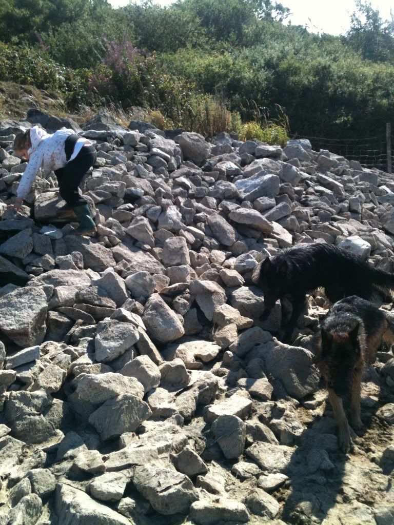 foremark reservoir doggy walk .... massive piccie overload Foremarkreservoir073