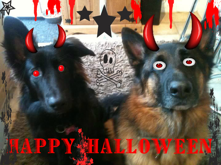 ~* happy halloween everyone*~ My2babies-2