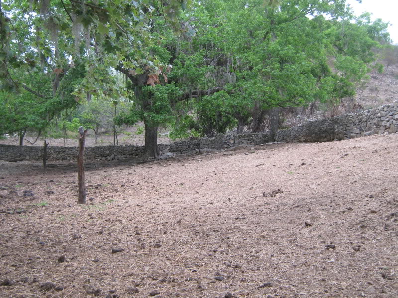 Consulta: construcción de un muro de piedras Refuerzodecaminos037