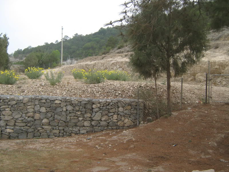 Consulta: construcción de un muro de piedras Refuerzodecaminos048