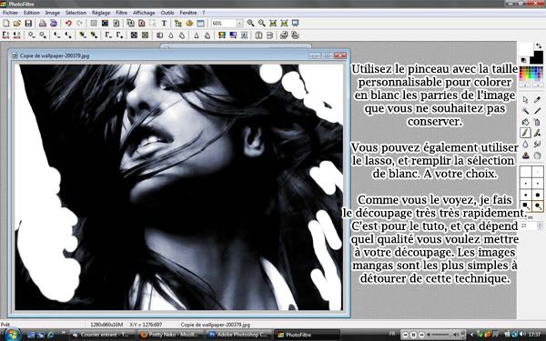Photofiltre ~¤~ Détourage facile Untitled-2-1