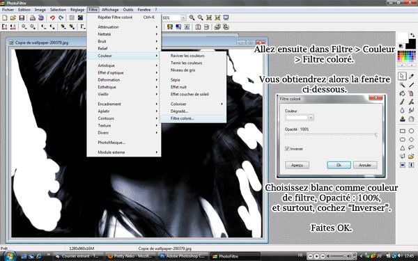 Photofiltre ~¤~ Détourage facile Untitled-3-1