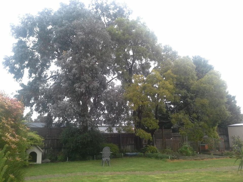 It never rains but it pours! 20140825_083720