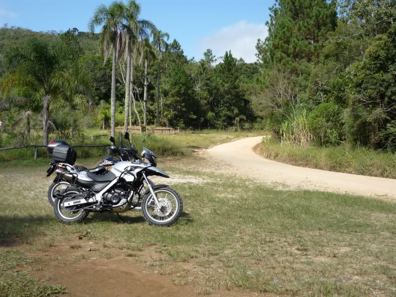 Parque Estadual Carlos Botelho - São Paulo/Brasil P1010749