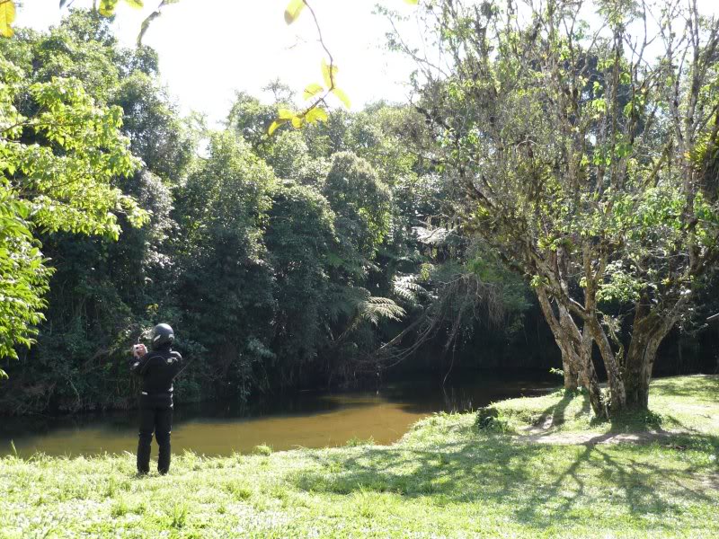 Parque Estadual Carlos Botelho - São Paulo/Brasil P1010752