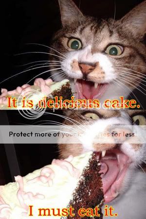 Its a bit late but... Fun_Cat_Eat_Cake