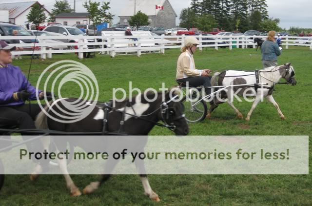 Dundas Mini Show 193