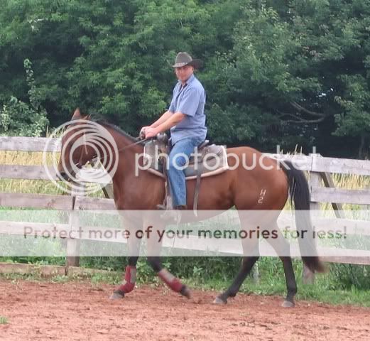 Seasoned AQHA Mare Pepnew