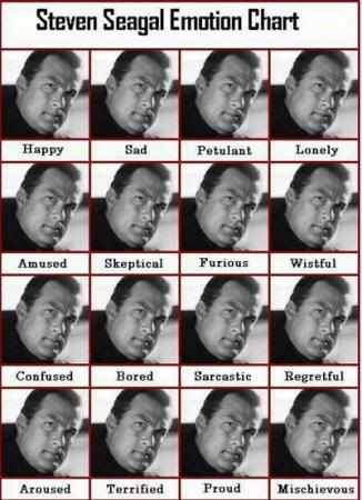 The Steven Seagal Emotion Chart  Segalpreview