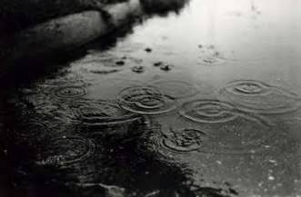 Kapi i suze Rain