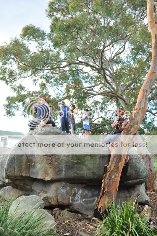 Hurstville Heritage Park, Hurstville, 26 November 2011 Rocktop2