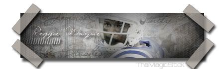 Indianapolis Colts ReggieWayneeecopy