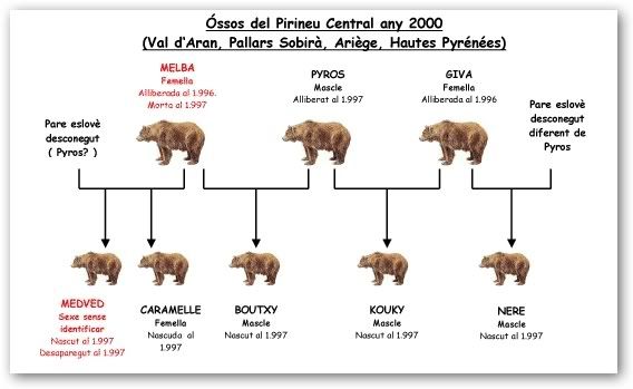 No a los osos!! Sshot-4