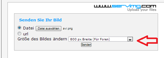 Anleitung zum Hochladen von Bildern auf servimg.com 4-2_zps8c63a802