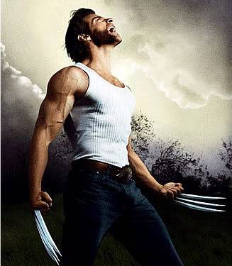 Wolverine (James "Logan" Howlett) Wolverine