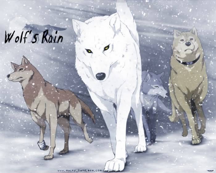 Wolf Pack Wolfs-rain