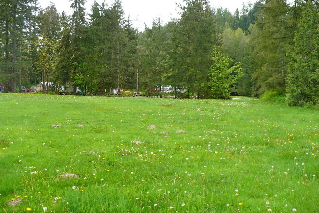 Pics for union Jack Field (MOVED TO MAPLE VALLEY) P1010325-1