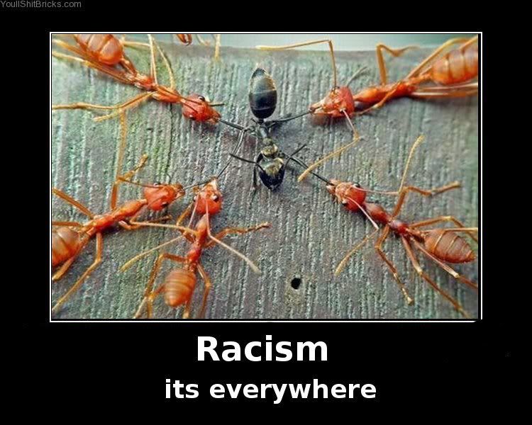 peterporty and real life discrimination  Racism_its_everywhere
