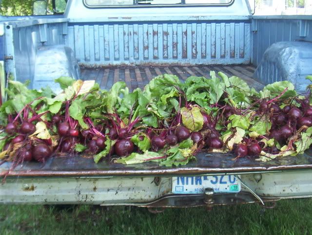 Beet canning july 2009. 100_5157