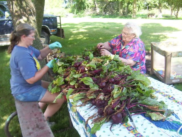 Beet canning july 2009. 100_5158