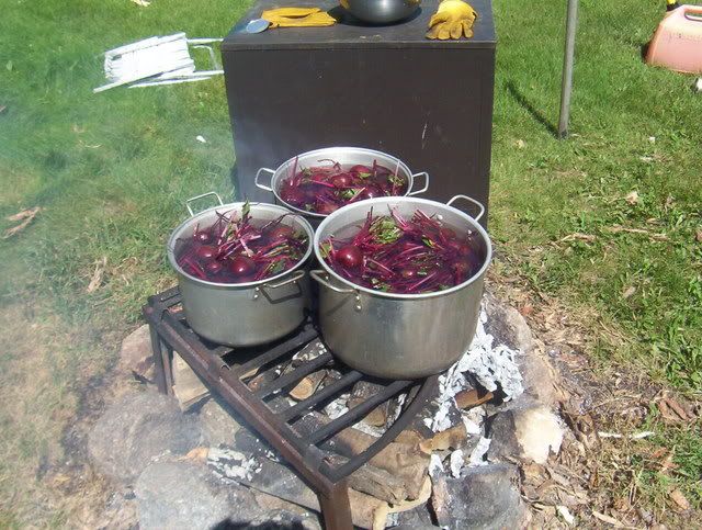 Beet canning july 2009. 100_5160