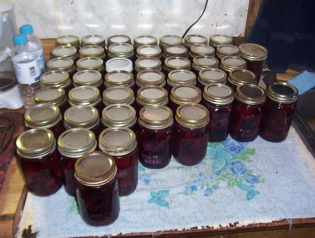 Beet canning july 2009. 100_5181