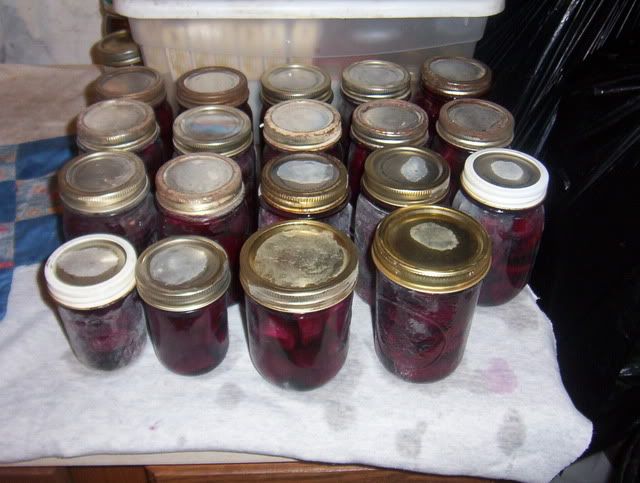 Beet canning july 2009. 100_5182