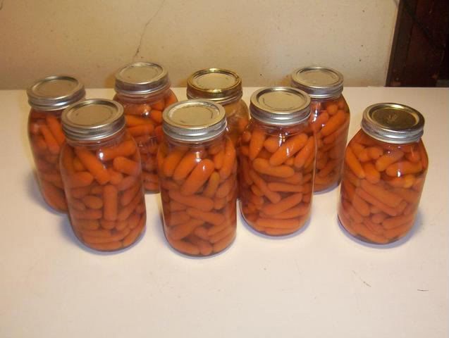 Canning season 2009 is starting 100_5327-1