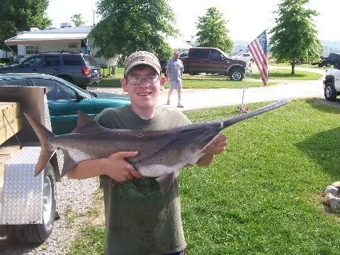 Littlecat92 Spoonbill. Jason1