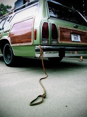 New Dog, Damaged Wagon, and Cutlass Work - What a Weekend - Page 2 Truckster_dog_leash