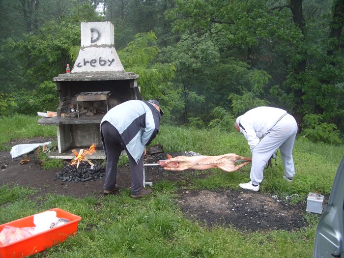 IV tradicionalno okupljanje na Zmajevcu Fruška Gora - otkazano 6-88_zps1f3f6439