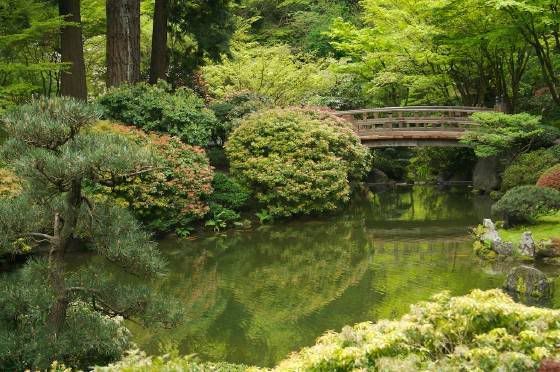 Jardim Pond_bridge