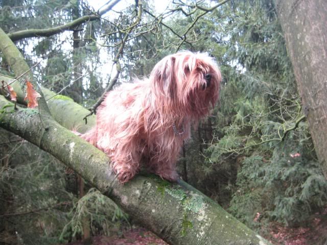 Wandelen met onze muiters ... 023jpg