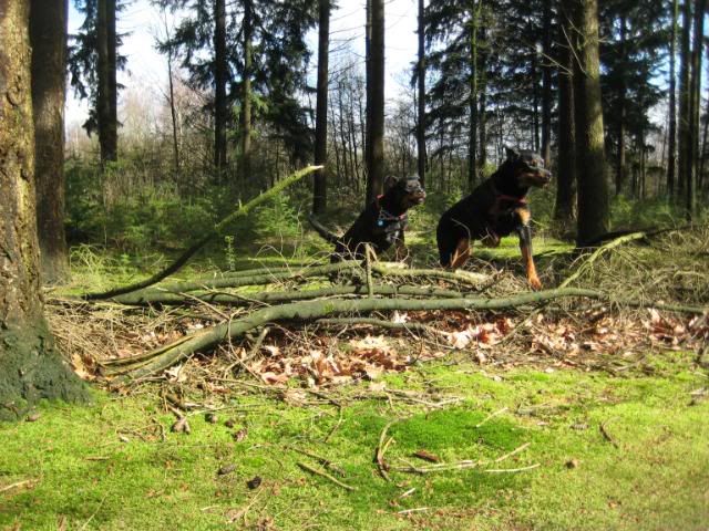 Wandelen met onze muiters ... 063jpg