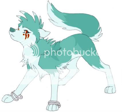 Mishi, Kirikane Tanwolf-pup-1