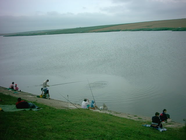 Lac Crestur (Bolcas) IM000517