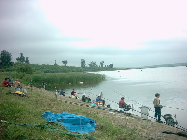 Lac Crestur (Bolcas) IM000533