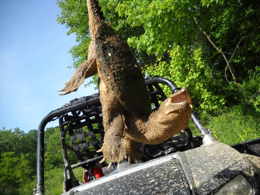 west virginia rzr hatfield mccoy