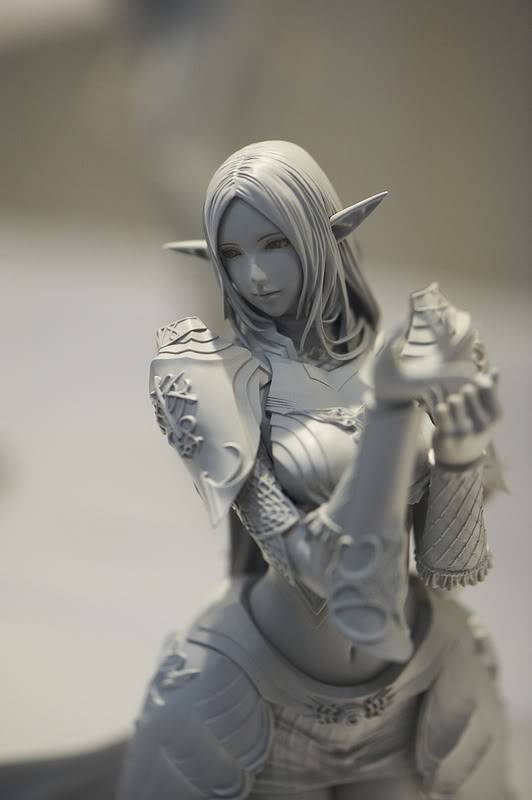  [salon 2012] Wonder Festival 夏 été 35