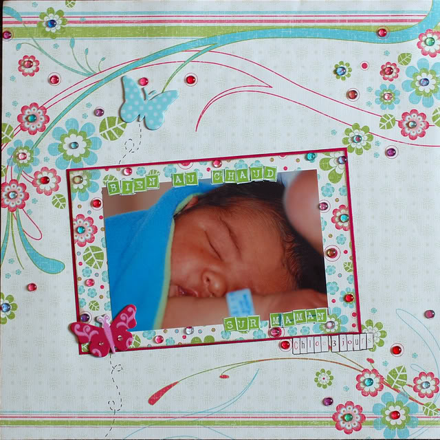 -----16 février-----quelques pages 2009-01-23PagesScrapbooking07