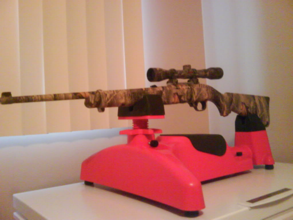 ruger10/22(2)