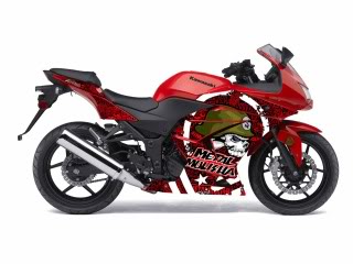 ██ GraphiX Kit Ninja 250 ██ - Page 2 Kawasaki-Ninja250MetalMulishaRed