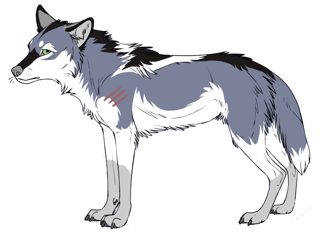 Charakterbogen Wolfy3