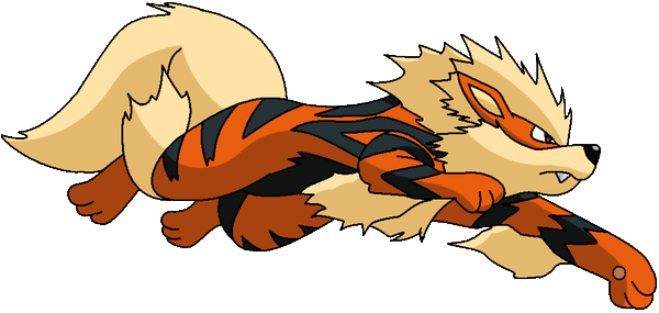 Keiro the Arcanine Arcanine